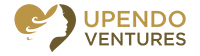 Upendo Ventures Small Business Website Hosting